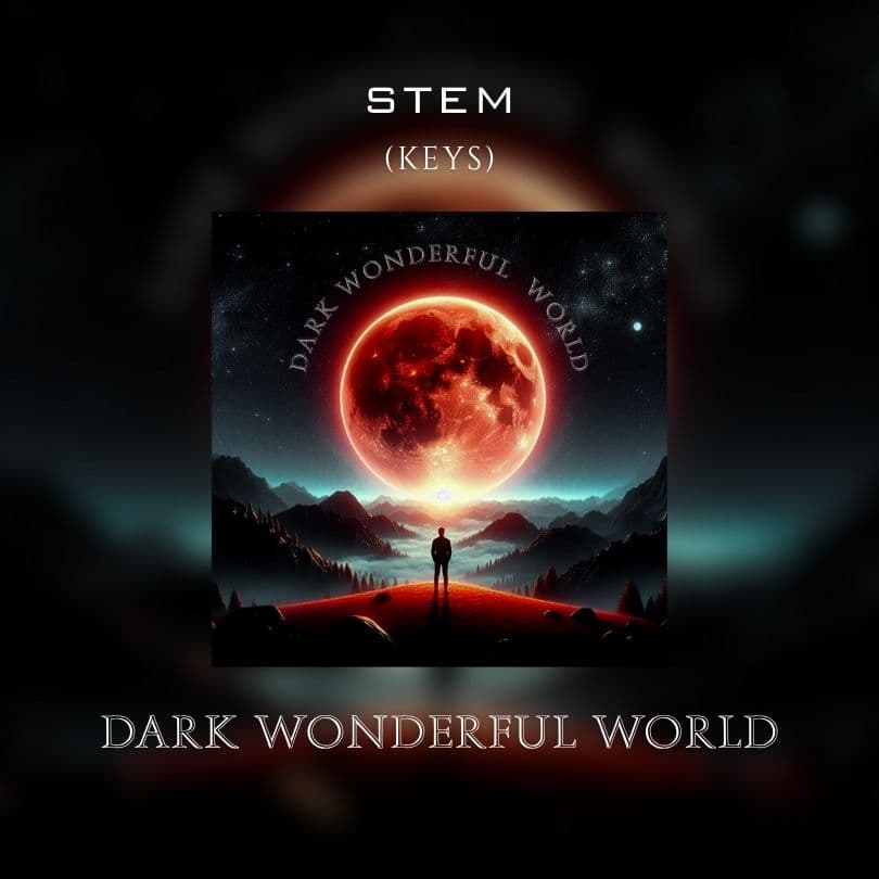 DARK WONDERFUL WORLD